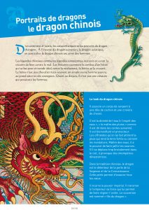Exposition sur les chevaliers exposition sur les dragons