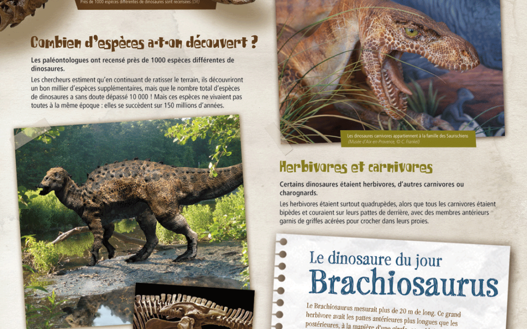Les Dinosaures