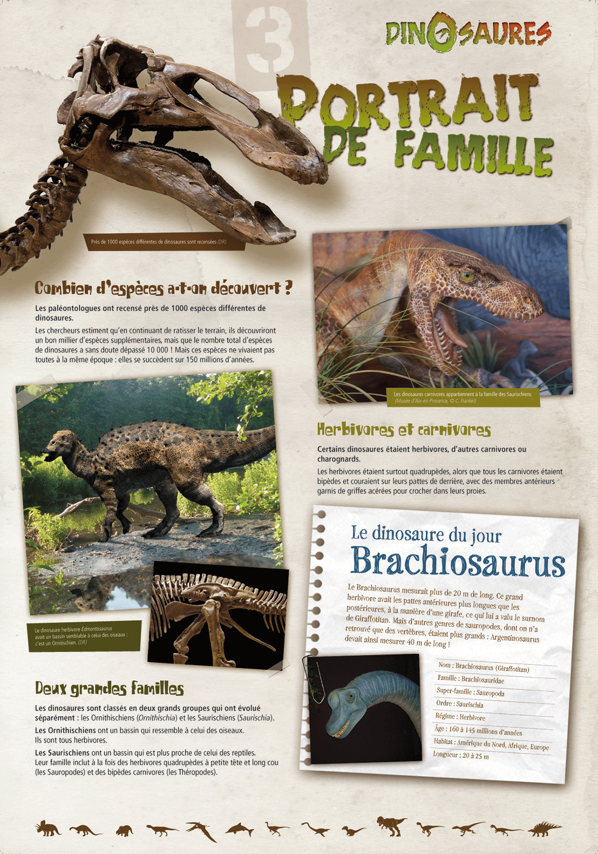 Les Dinosaures