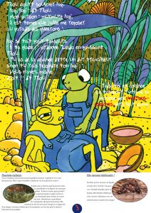 exposition jeunesse sur le puceron et la fourmi et les insectes exposition pour les enfants sur le puceron et la fourmi et les insectes