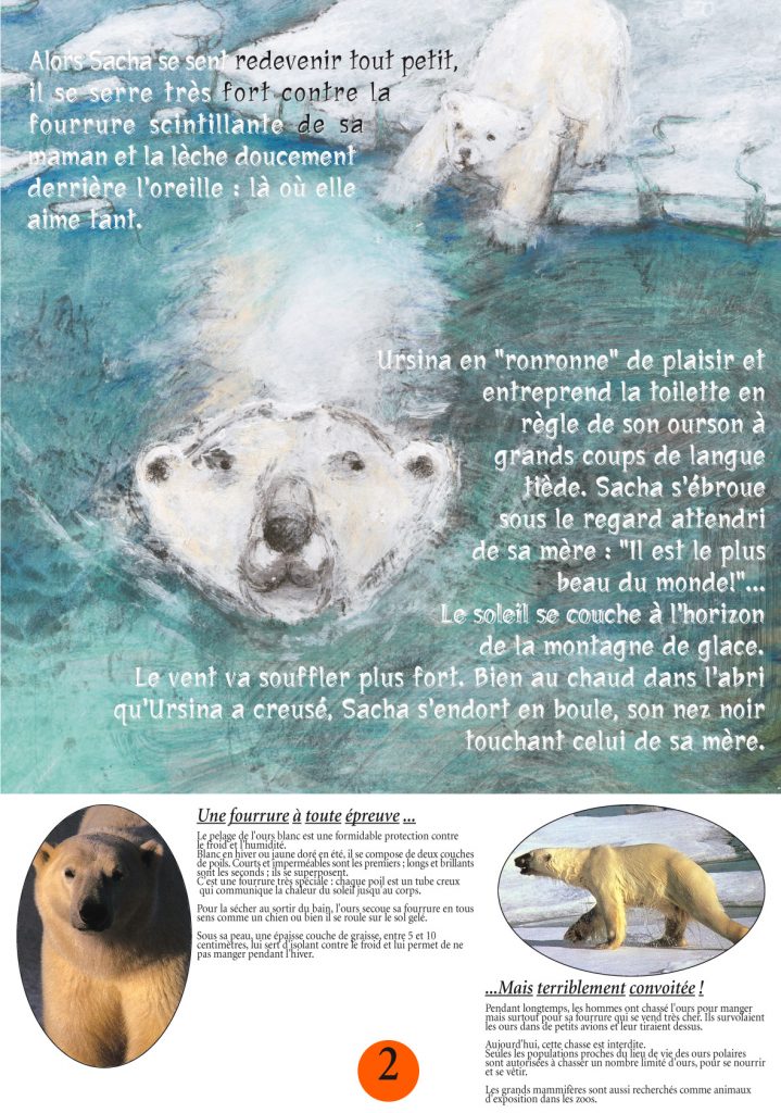 exposition pour les enfants sur les ours exposition jeunesse sur les ours