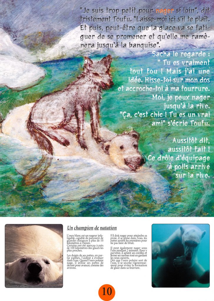 exposition pour les enfants sur les ours exposition jeunesse sur les ours