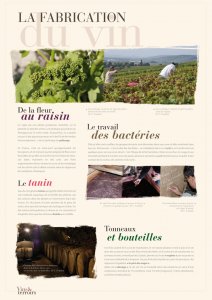 Exposition itinérante sur le vin Exposition itinérante sur les terroirs