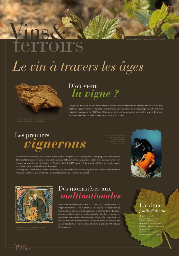 Vins et terroirs