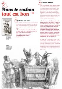 exposition itinérante sur le cochon exposition itinérante sur l'histoire du cochon exposition itinérante sur les animaux de la ferme