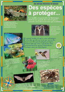 Exposition itinérante sur les Antilles