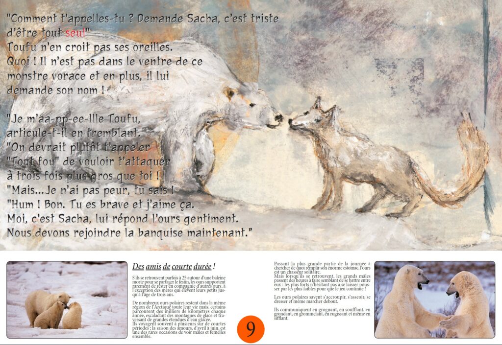 exposition pour les enfants sur les ours exposition jeunesse sur les ours