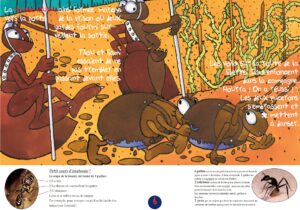 exposition jeunesse sur le puceron et la fourmi et les insectes exposition pour les enfants sur le puceron et la fourmi et les insectes