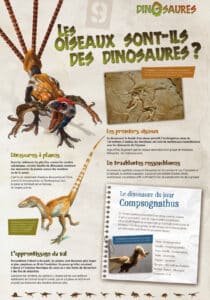 exposition jeunesse sur les dinosaures