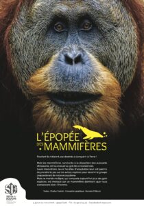exposition jeunesse sur les mammifères
expositions sur les mammifères