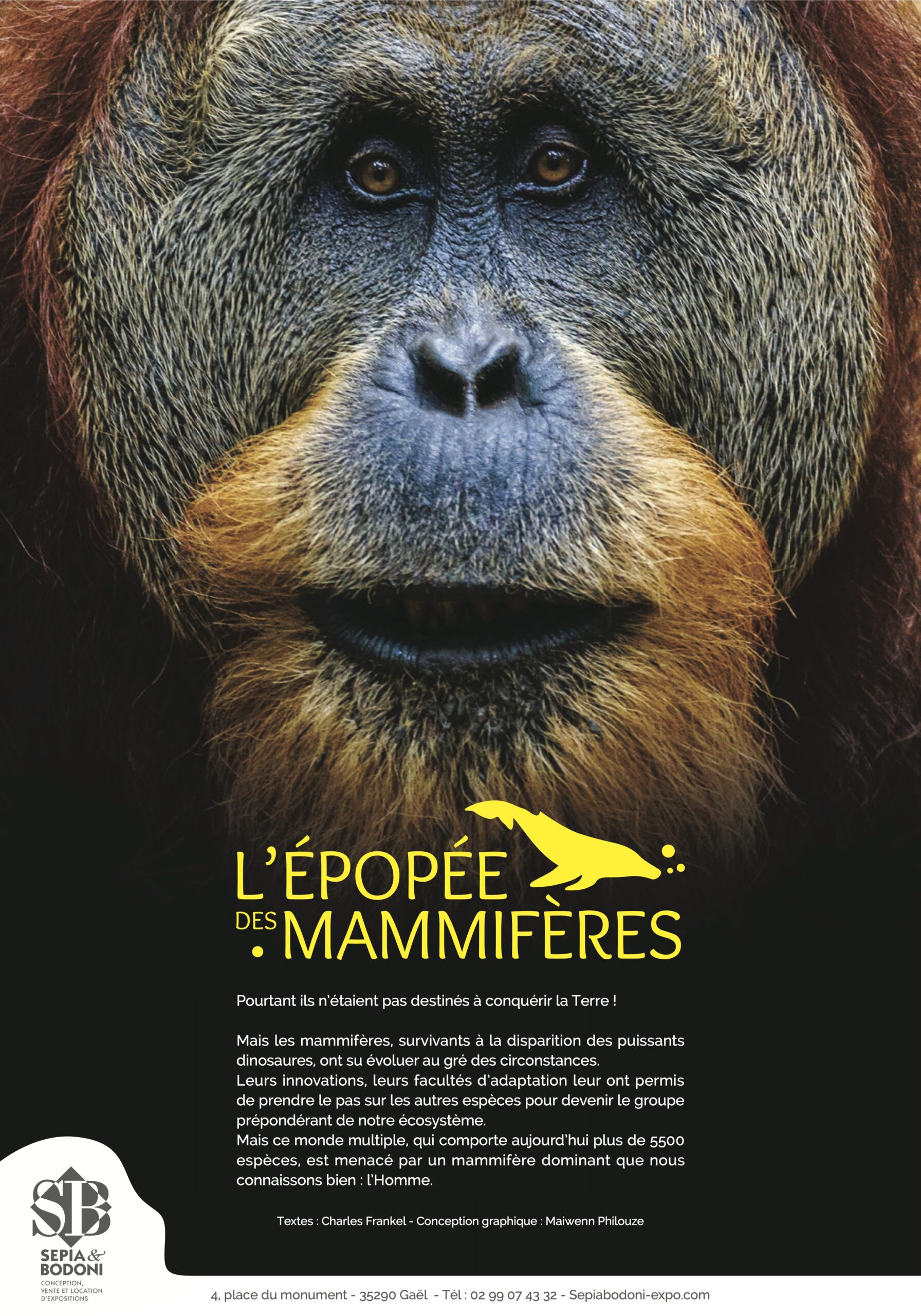 L’épopée des mammifères