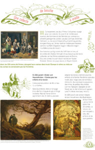 exposition sur les contes de Grimm exposition pour les enfants
