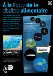 exposition itinérante sur le plancton
exposition itinérantes sur l'océan
exposition itinérante sur la mer