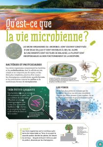 microbes virus bactéries exposition²
